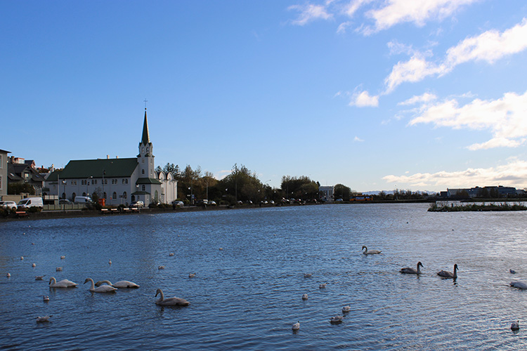 Bezienswaardigheden Reykjavik - Tjornin meer en stadsvijver