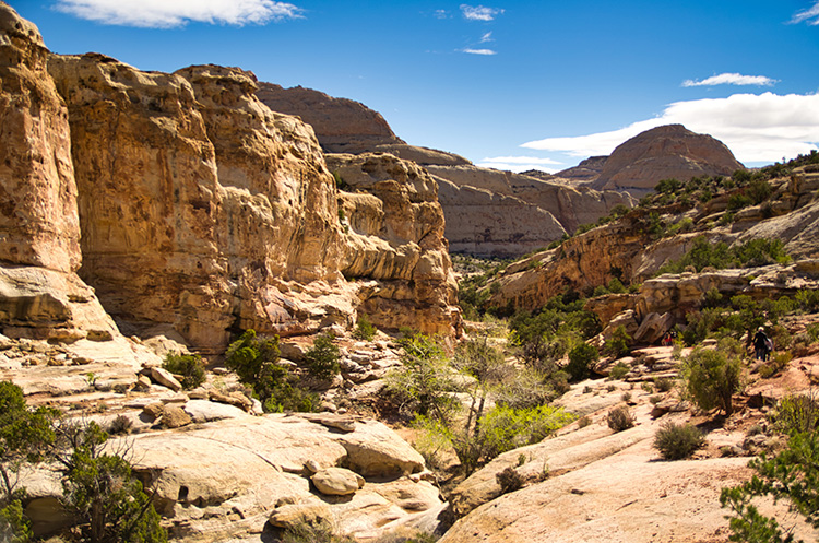 Captitol Reef Mighty 5 Utah