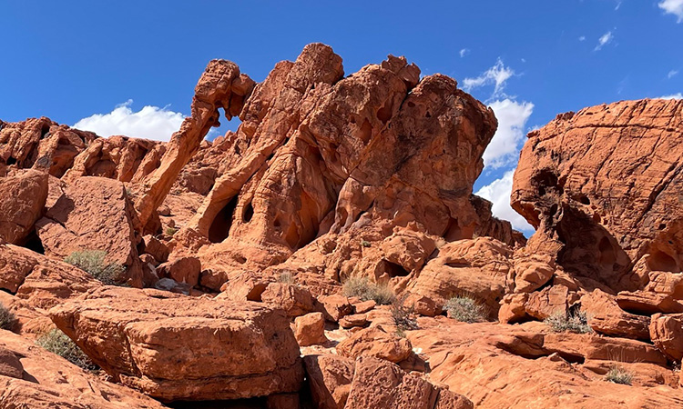 Elephant Rock in Valey of Fire State Park