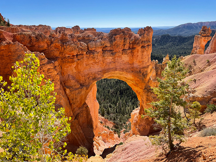 Panoramaroute Bryce Canyon - Natural Bridge