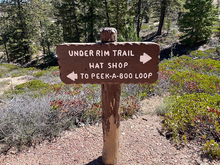 Peek-a-boo-loop-trail