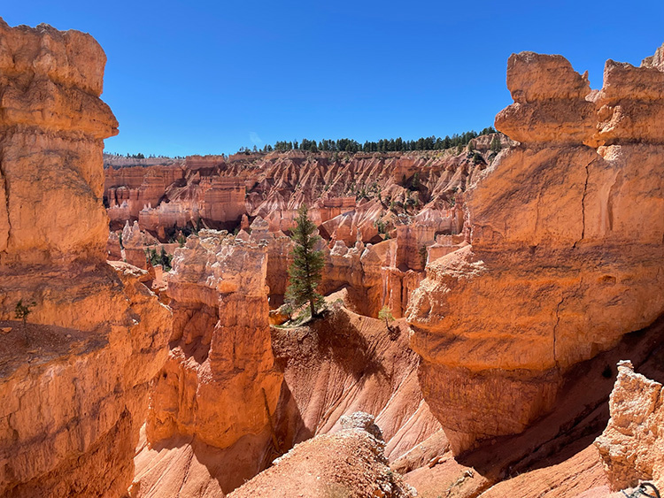 Uitzicht tijdens het hiken in Bryce Canyon