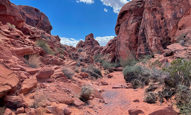 Wandelroute in Valey of Fire State Park