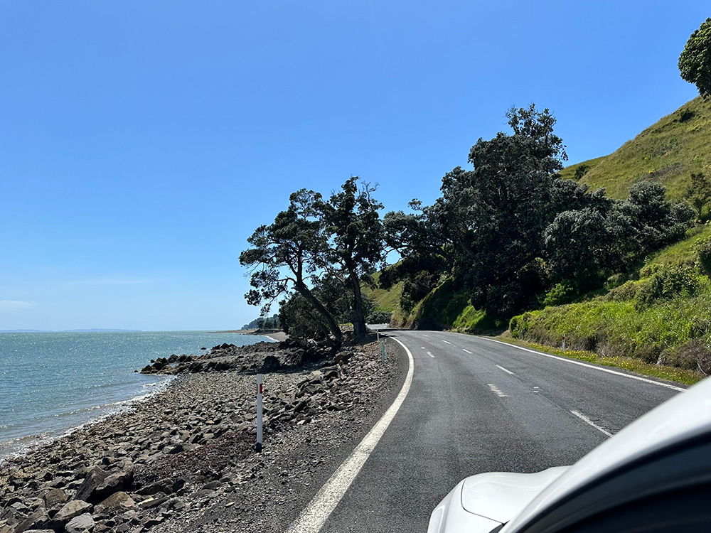 Autorijden-langs-de-westkunt-van-Coromandel-Nieuw-Zeeland