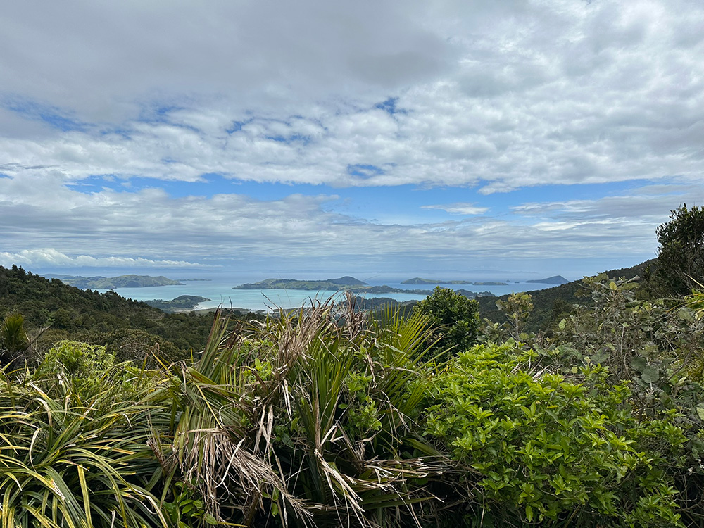 Scenic uitzicht bij Coromandel noorden