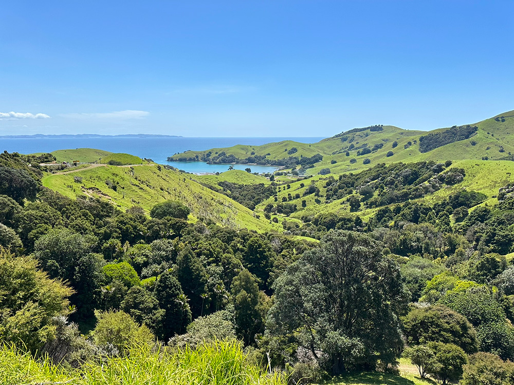 Uitzichtpunten Coromandel Schiereiland