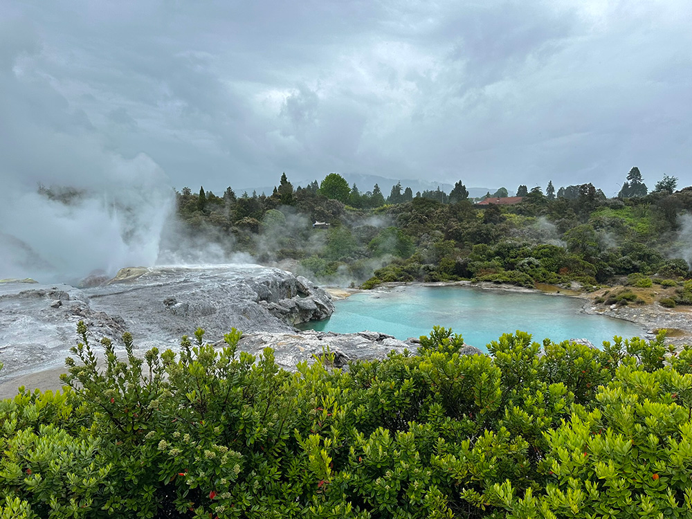 Whakarewarewa Thermal Village - Te Puia - geiser Rotorua