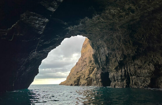 Zeegrot-Orua-Sea-Cave-Cathedral-Cove-vanuit-Hahei-Nieuw-Zeeland