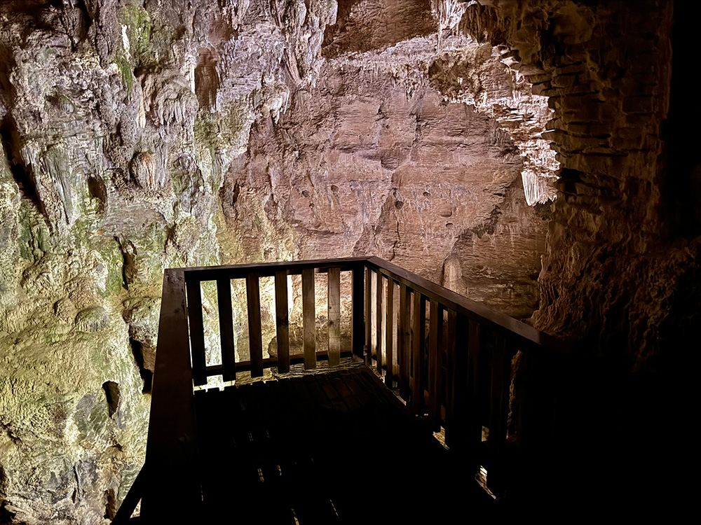 Ruakuri Bushwalk: grotten Waitomo