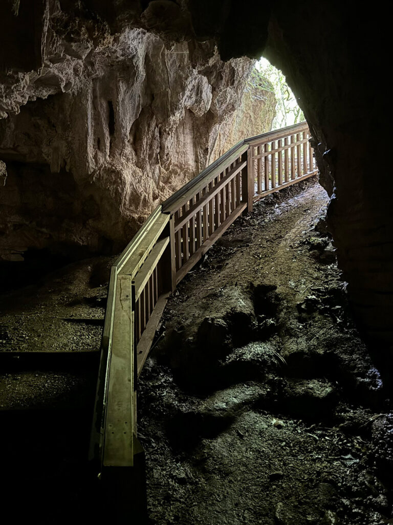 Ruakuri Bushwalk: grotten Waitomo