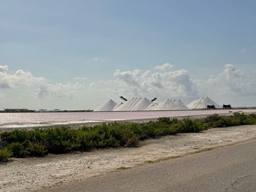 De zoutpannen van Bonaire