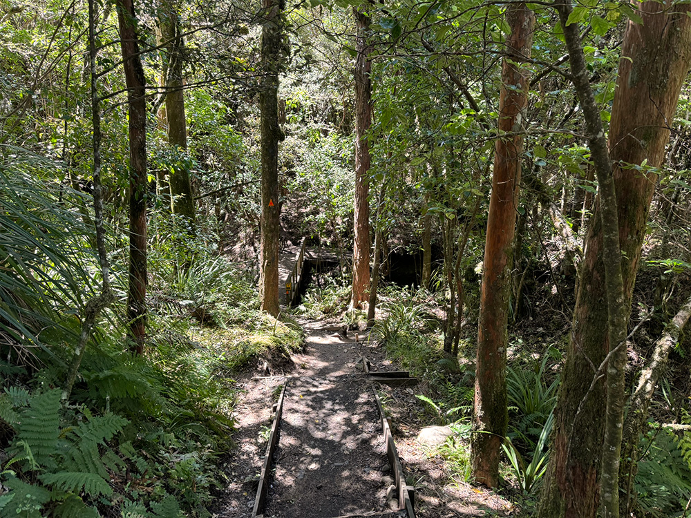 Laatste stuk Tongariro wandeling