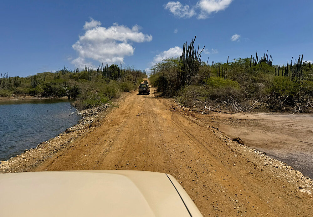 Op jeepsafari - excursie Washington Slagbaai National Park